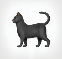 A BLACK CAT