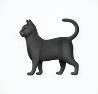 A BLACK CAT
