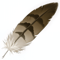 A FEATHER