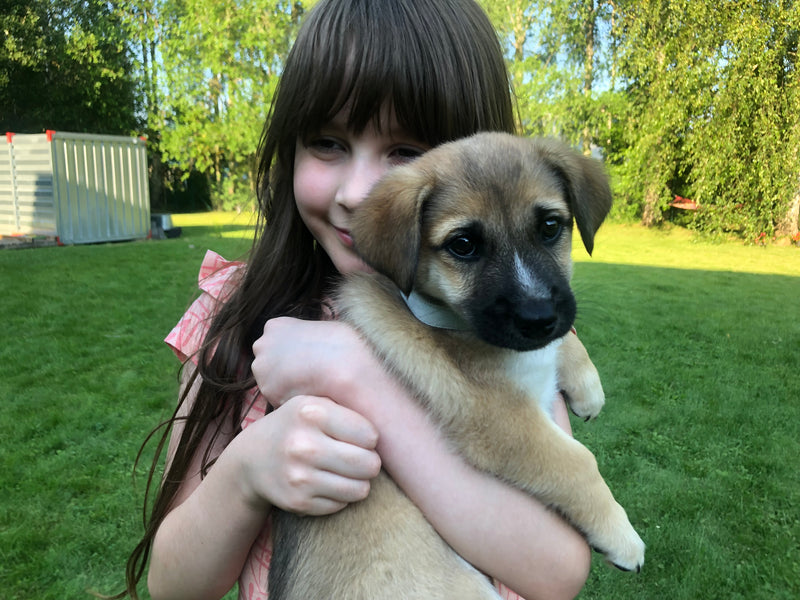 Charlotte hugging a dog