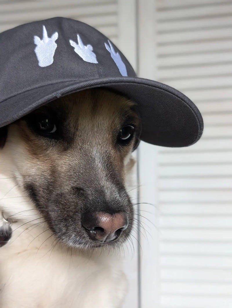 Bruno