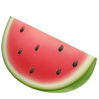 WATERMELON SLICE